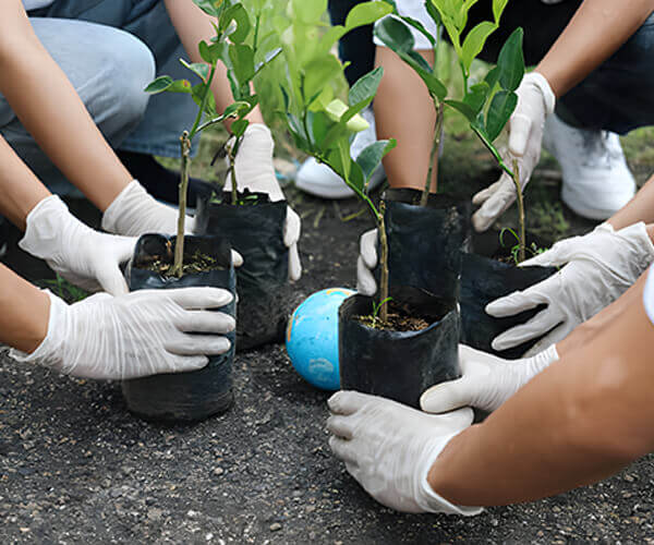 Shandong Hualu-Hengsheng Chemical Co., Ltd