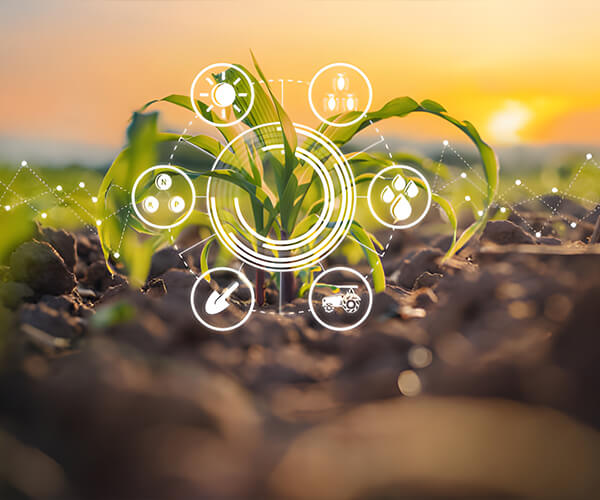 Social Responsibility